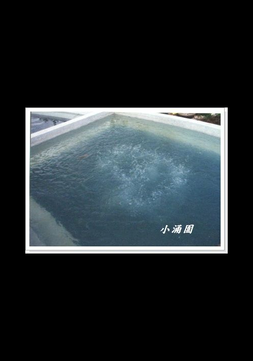 氣泡池  