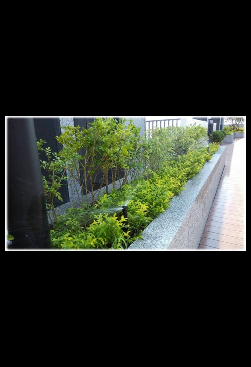 名發夏庄-噴灌  