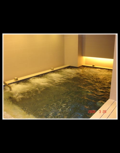 興富發RICH-19-水療  