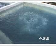 氣泡池  