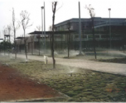 嘉義啟智學校-噴灌  