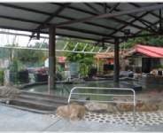 神農科技休閒農場-溫泉  