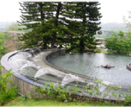 花季溫泉會館-水景  